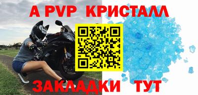 бошки Тверь