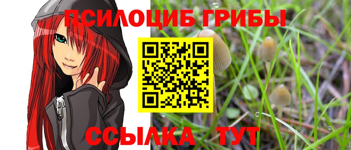 Галлюциногенные грибы Psilocybine cubensis  Псилоцибиновые грибы MAGIC MUSHROOMS  Вход с VPN  Волжский 