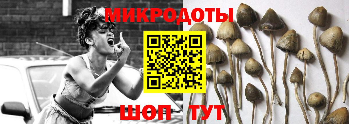Галлюциногенные грибы Magic Shrooms Волжский